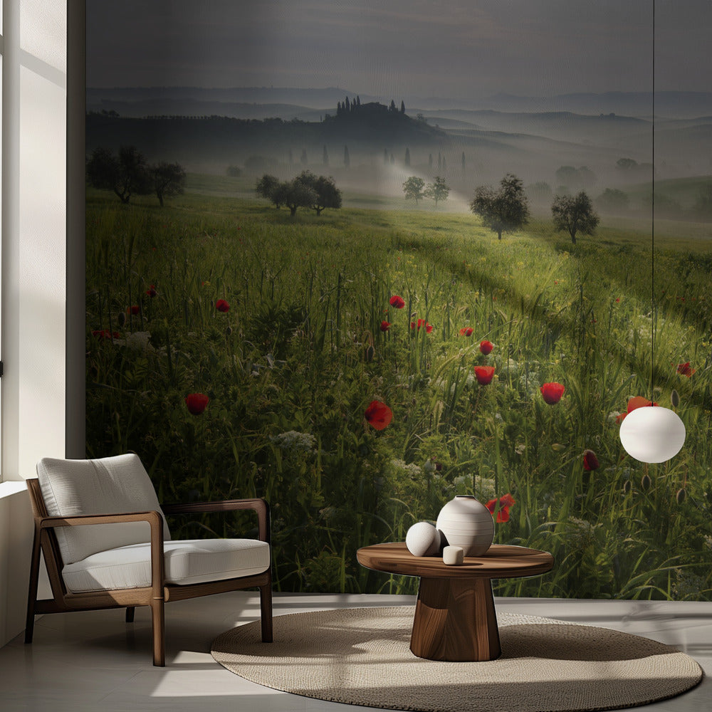 Toscanan kevät | Valokuvatapetit