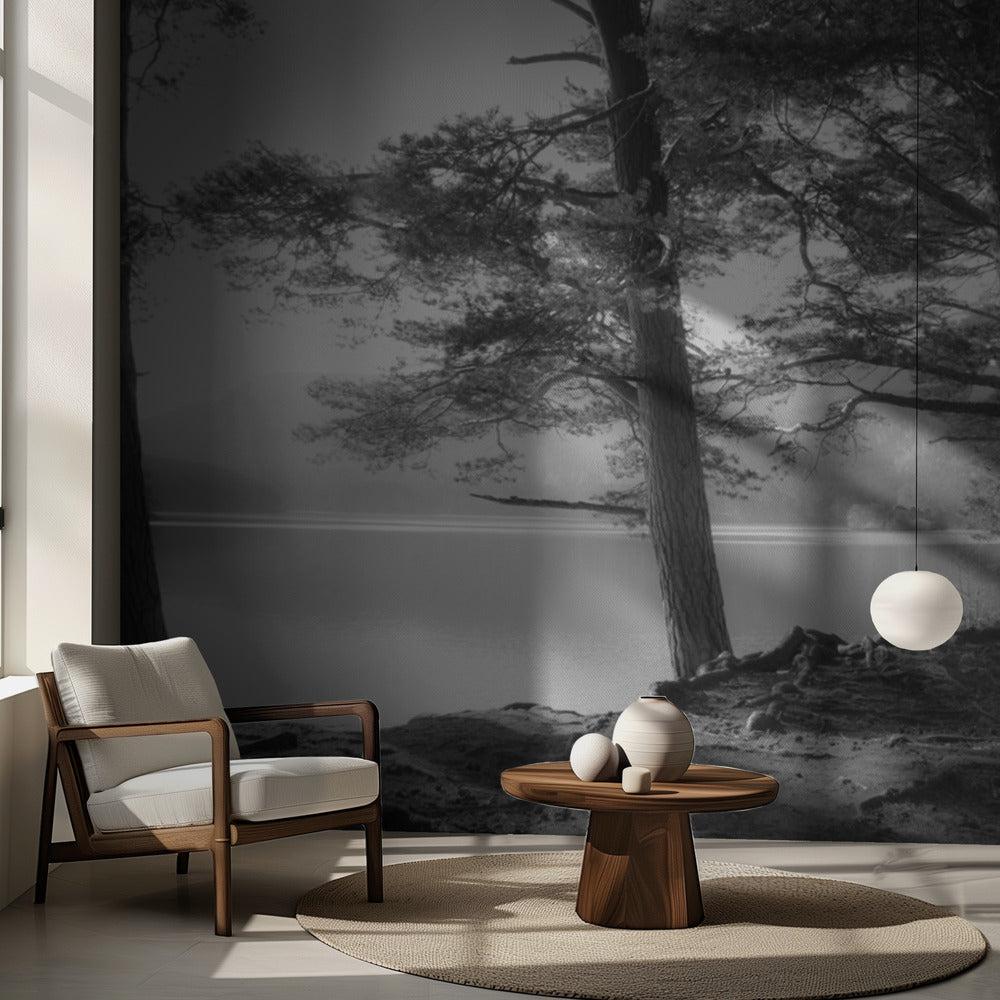 Loch an Eilean | Fototapeten