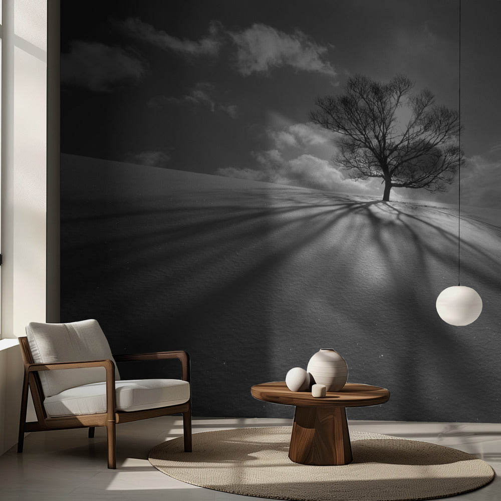Baumschatten | Fototapeten