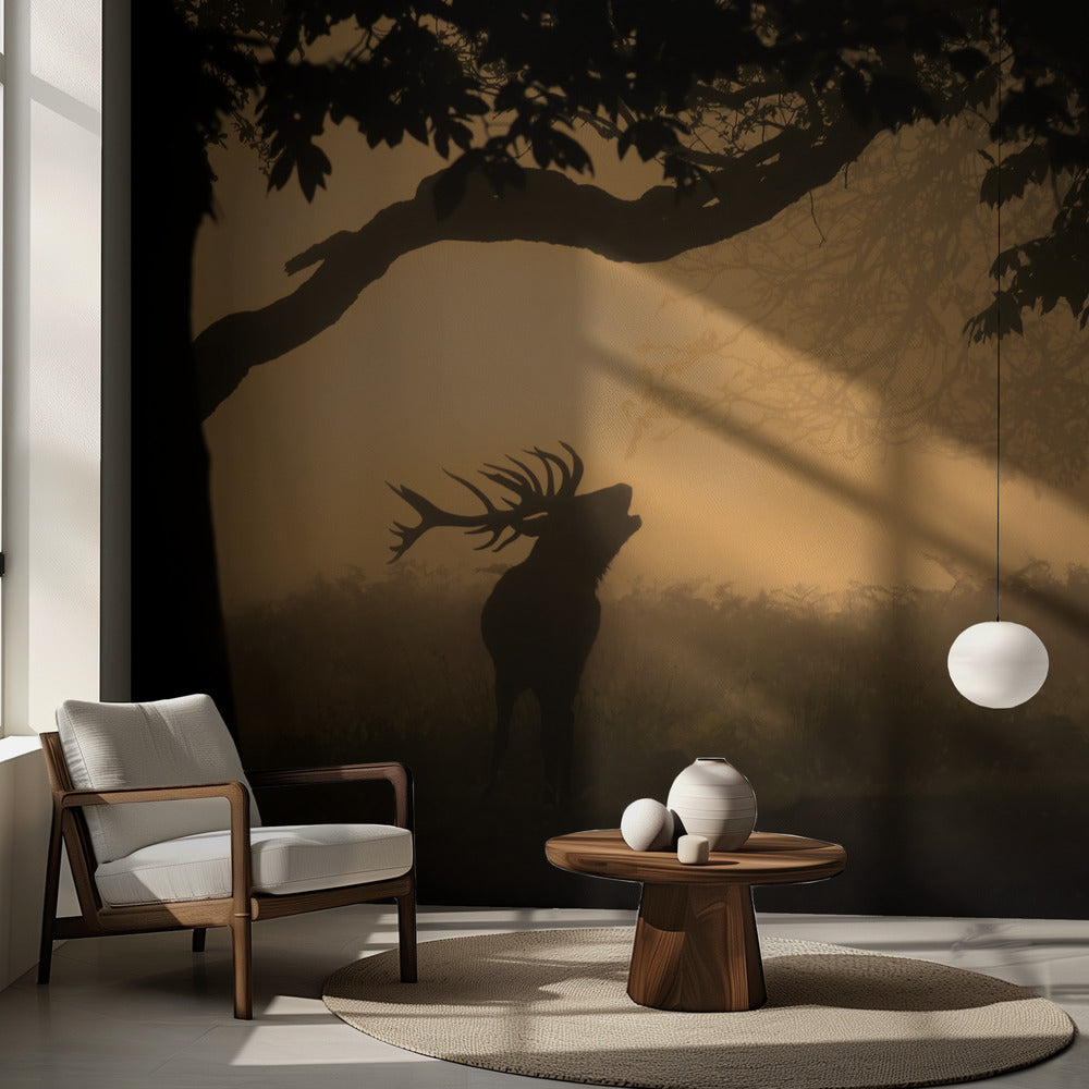 la llamada del amor | Papel Pintado Fotográfico