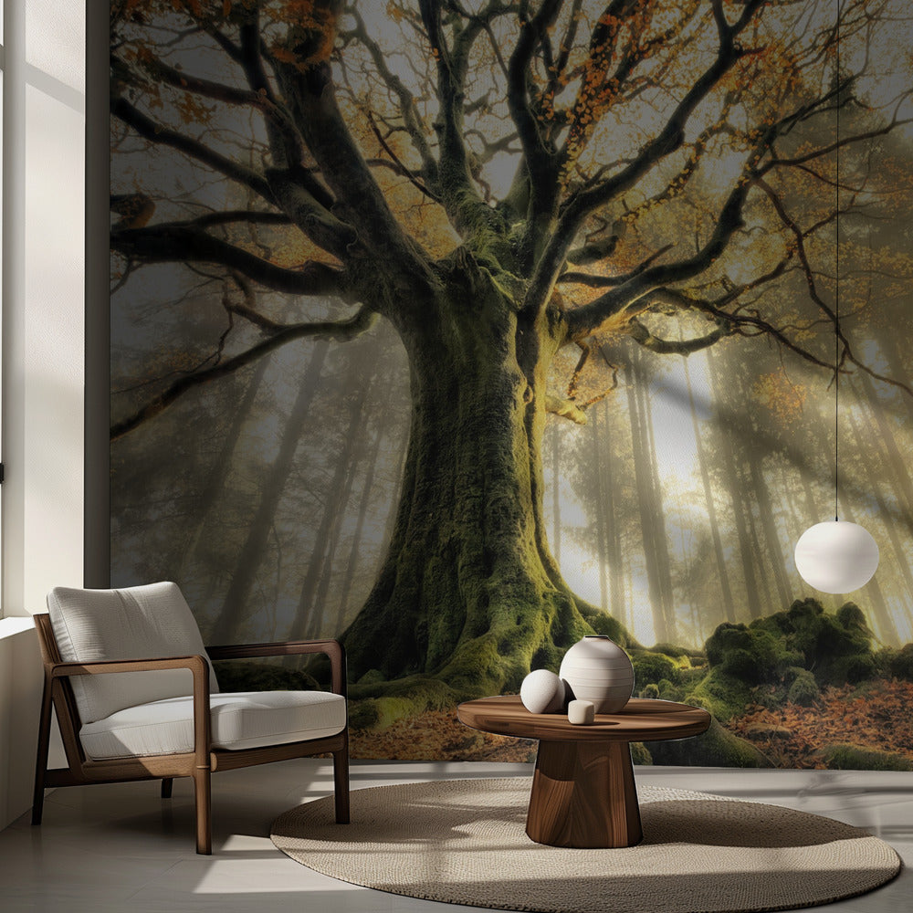 November | Fototapeten