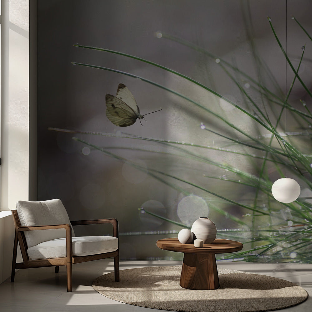 Välitön laskeutuminen | Valokuvatapetit