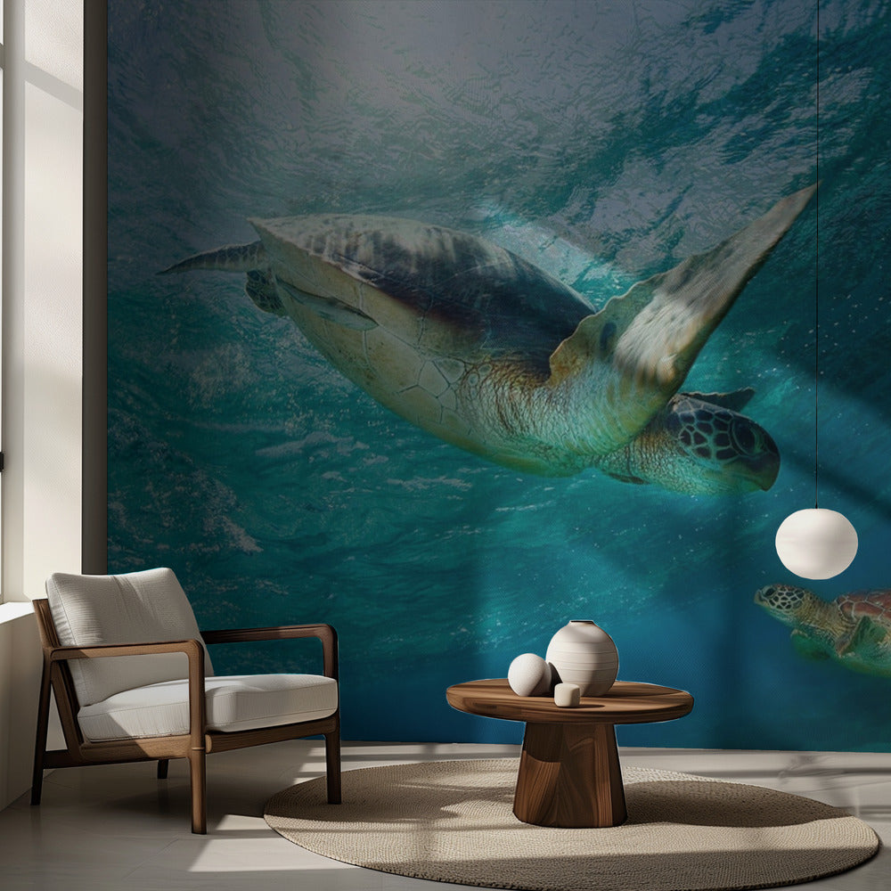 Kontakt | Fototapeten