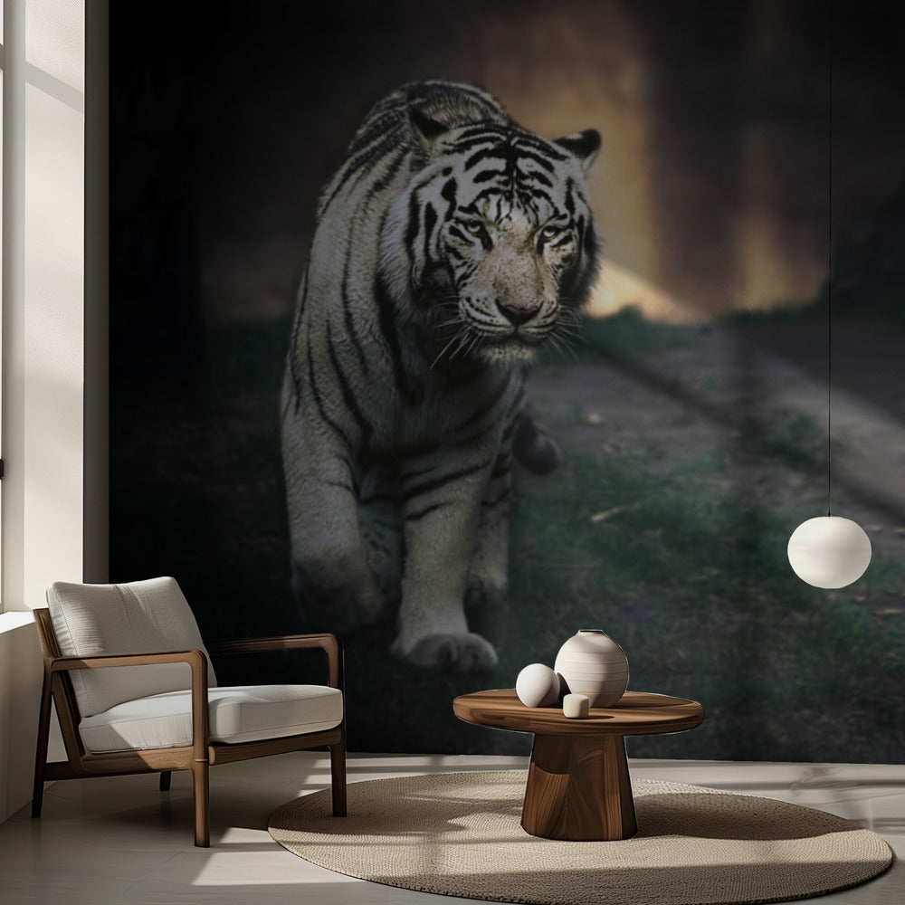 Valkoinen kävelijä | Valokuvatapetit