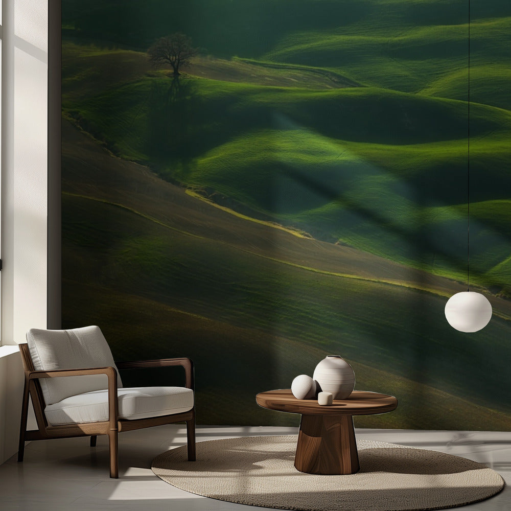 Eiche... | Fototapeten