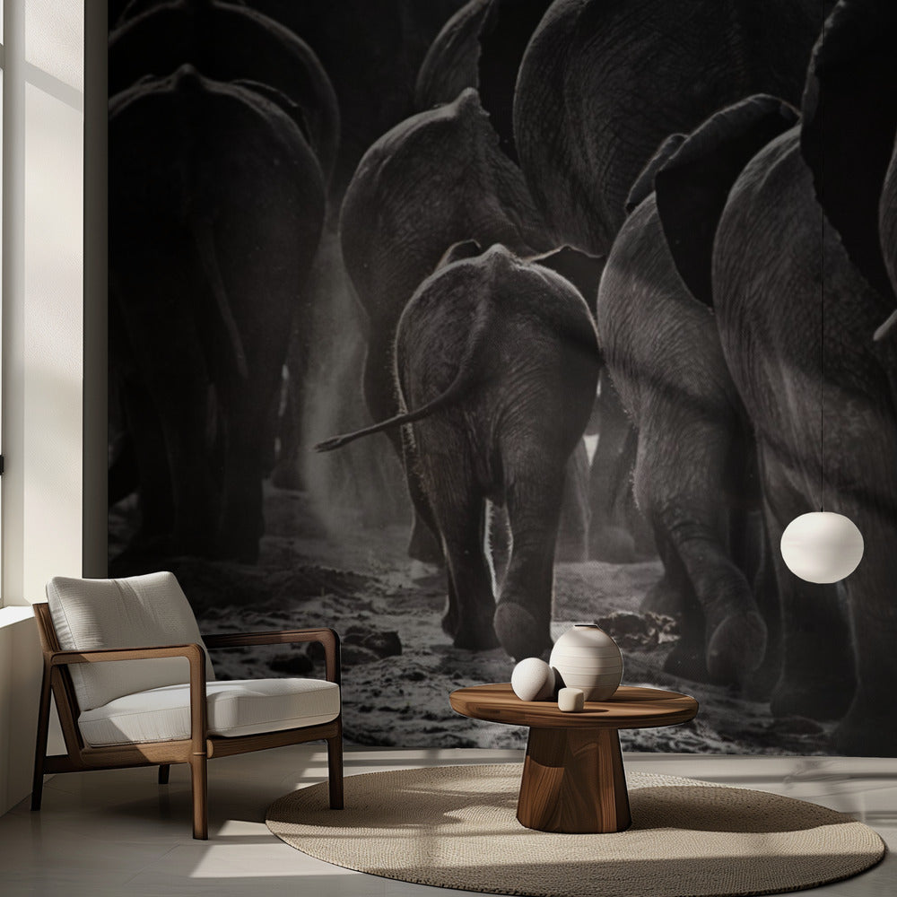 Kävely kotiin | Valokuvatapetit