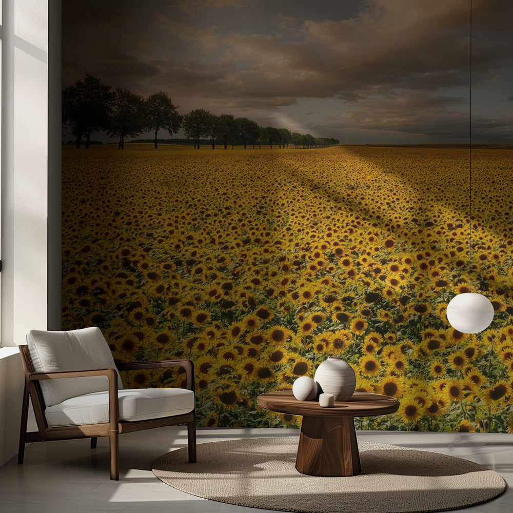 Girasoli | Carta da Parati Fotografica