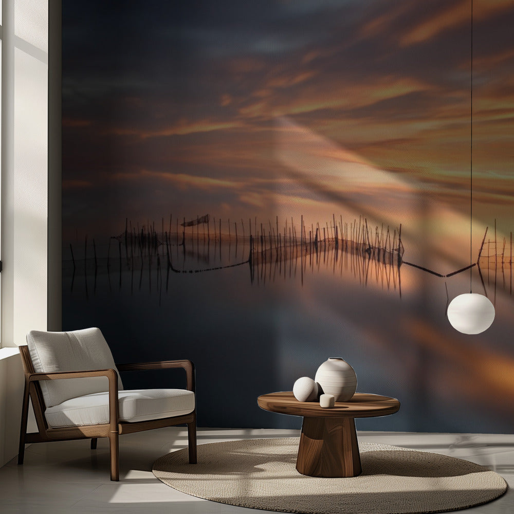 Kalaverkot | Valokuvatapetit