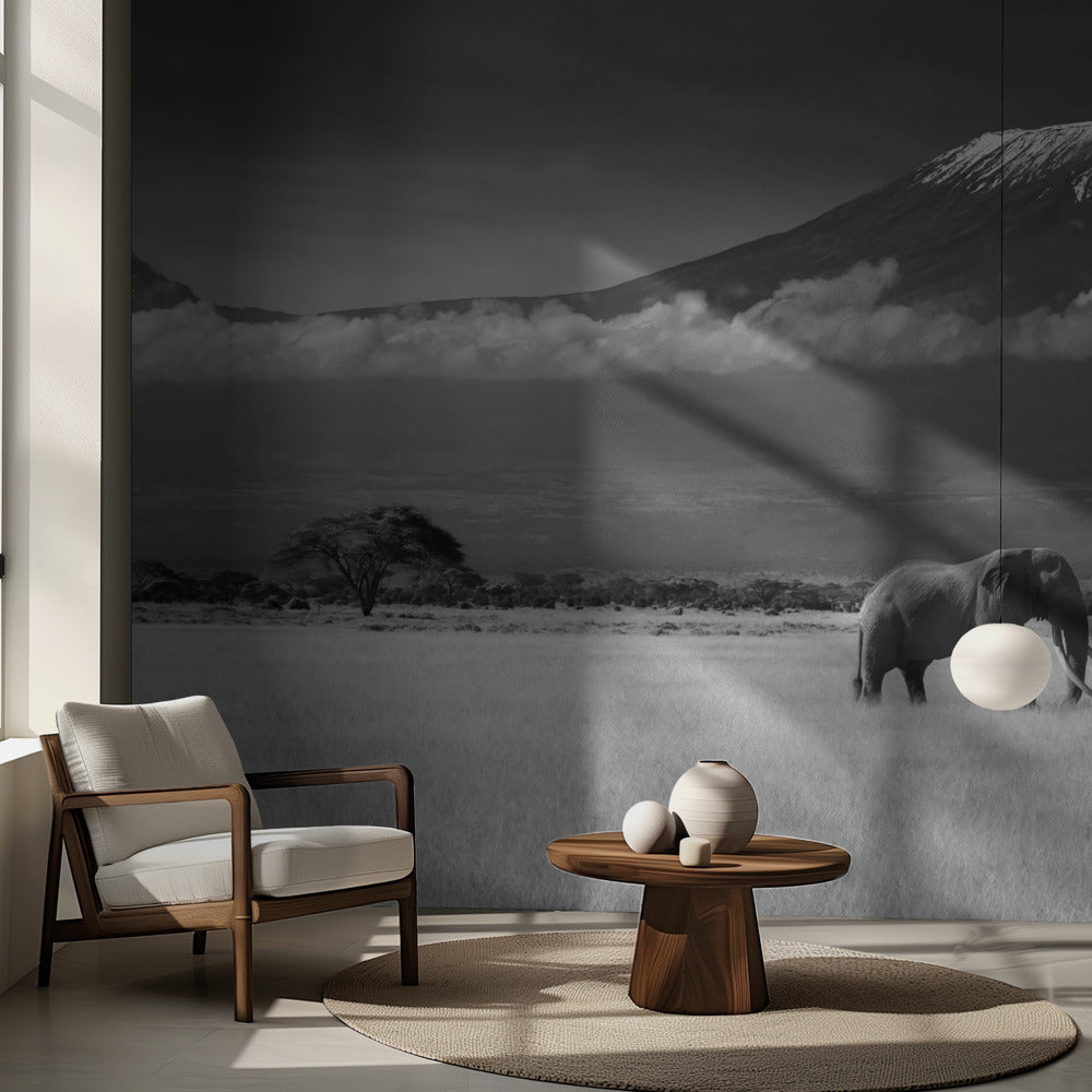 Kadonneet värit II | Valokuvatapetit