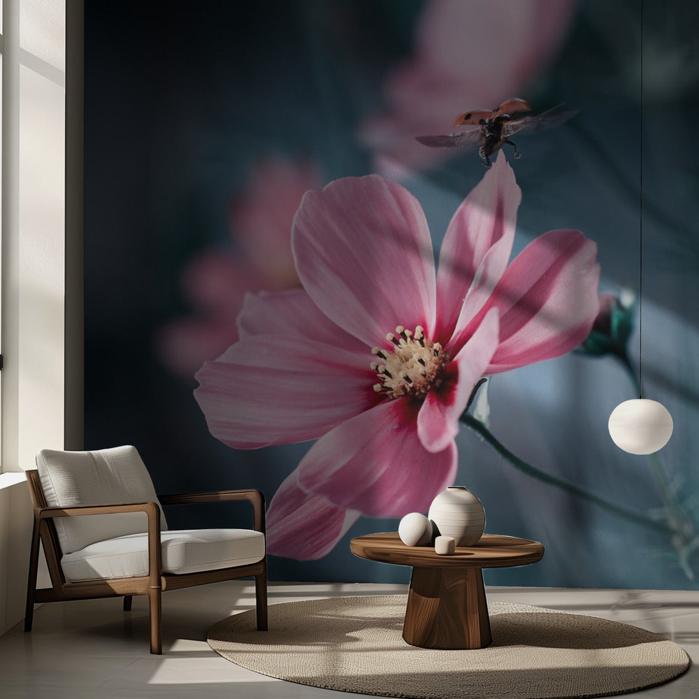 Luz de la tierra | Papel Pintado Fotográfico