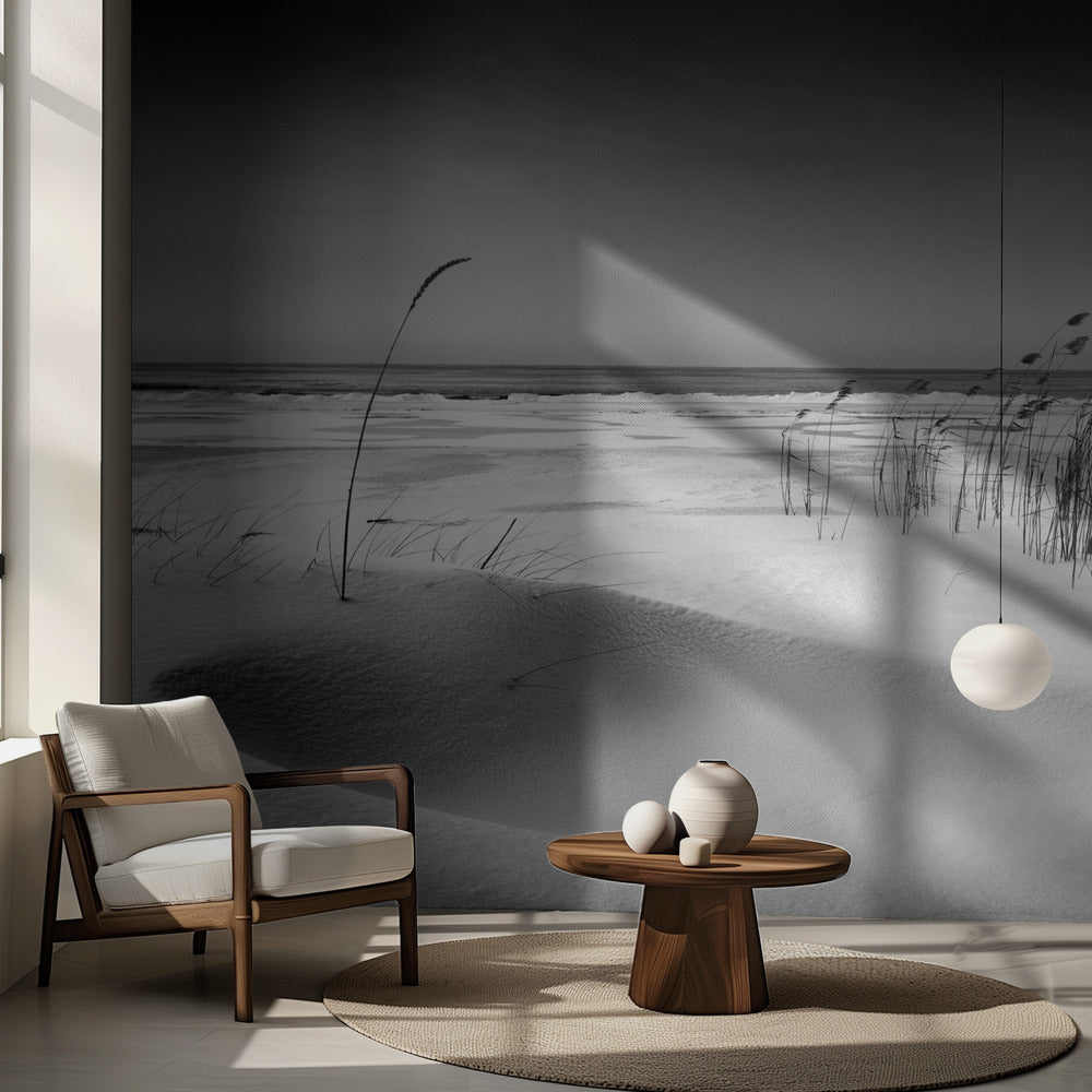 Orkesteri | Valokuvatapetit