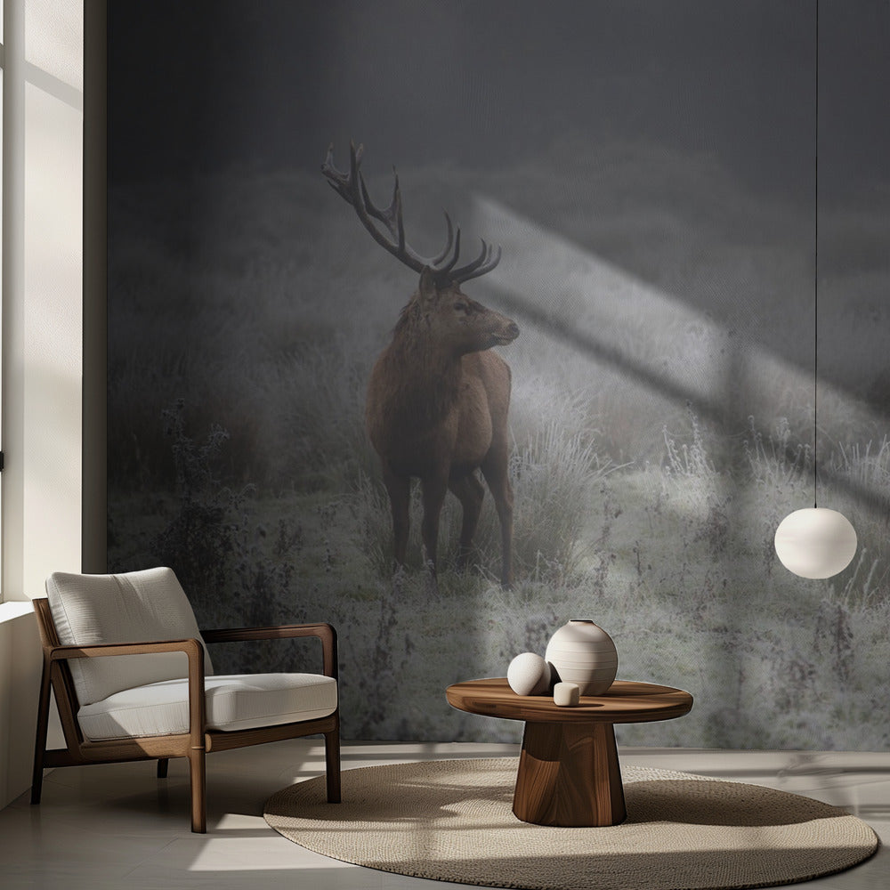 Prideful. deer . | Wallpaper