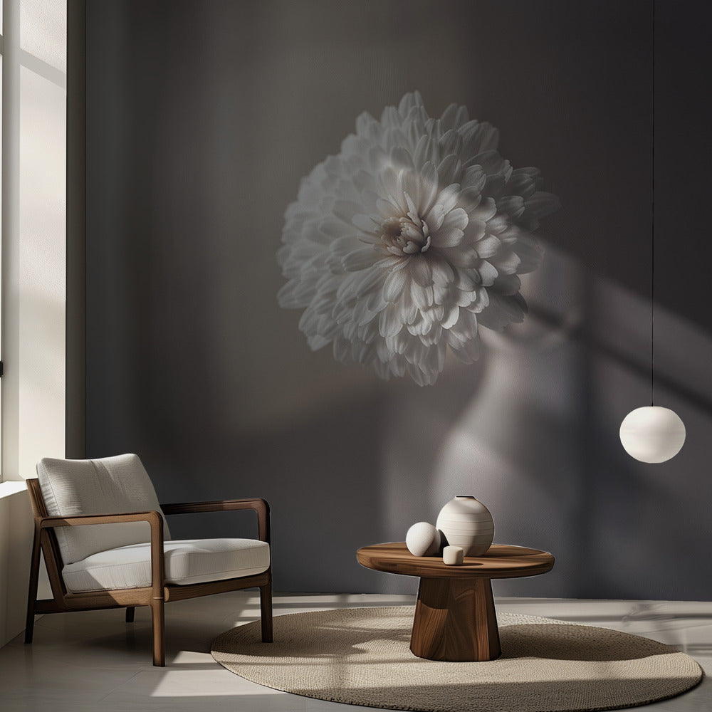 window light | Wallpaper