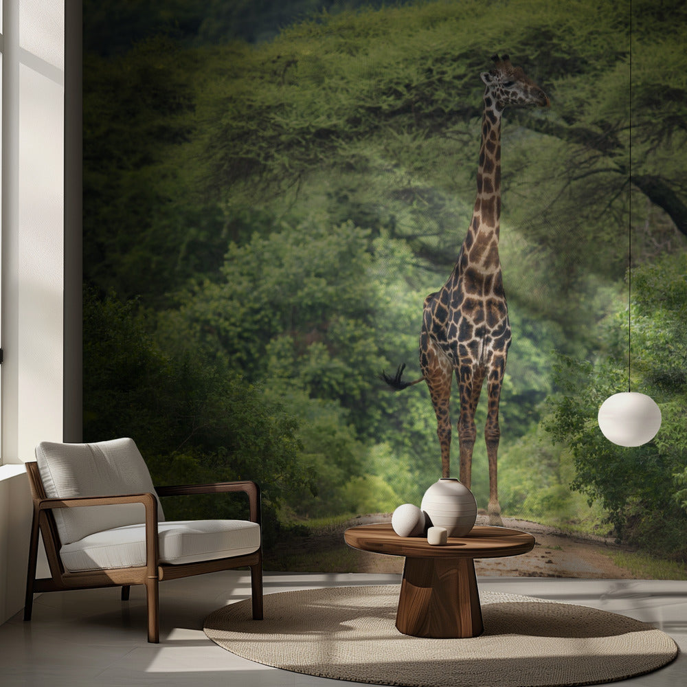 odottamaton tapaaminen | Valokuvatapetit