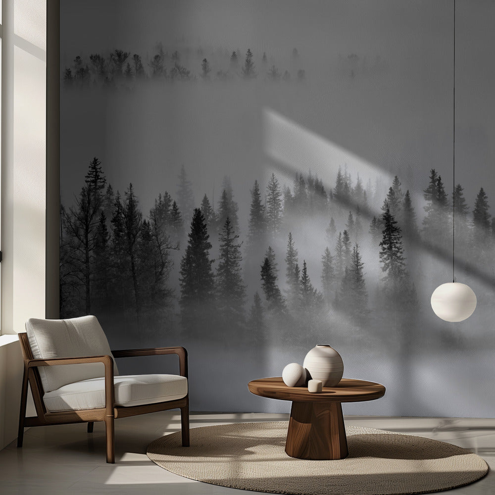 Tåget skov | Fototapeter