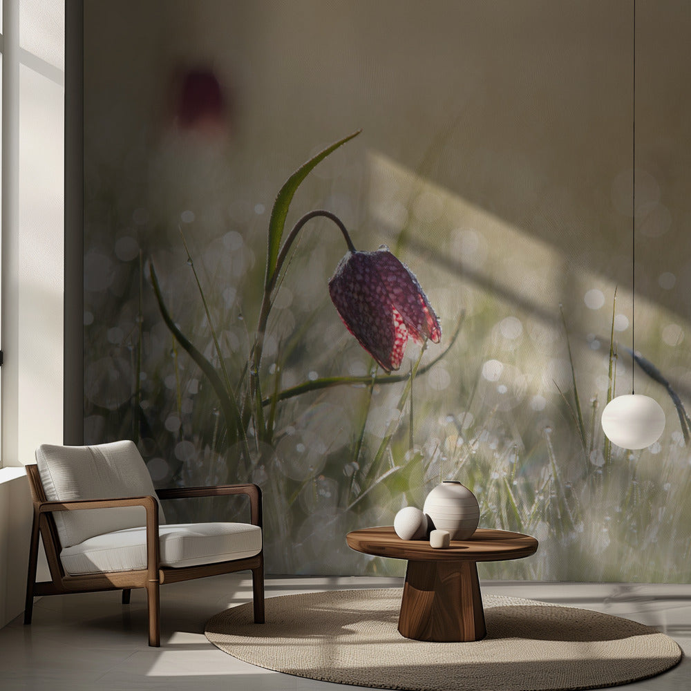 Rocío de la mañana | Papel Pintado Fotográfico