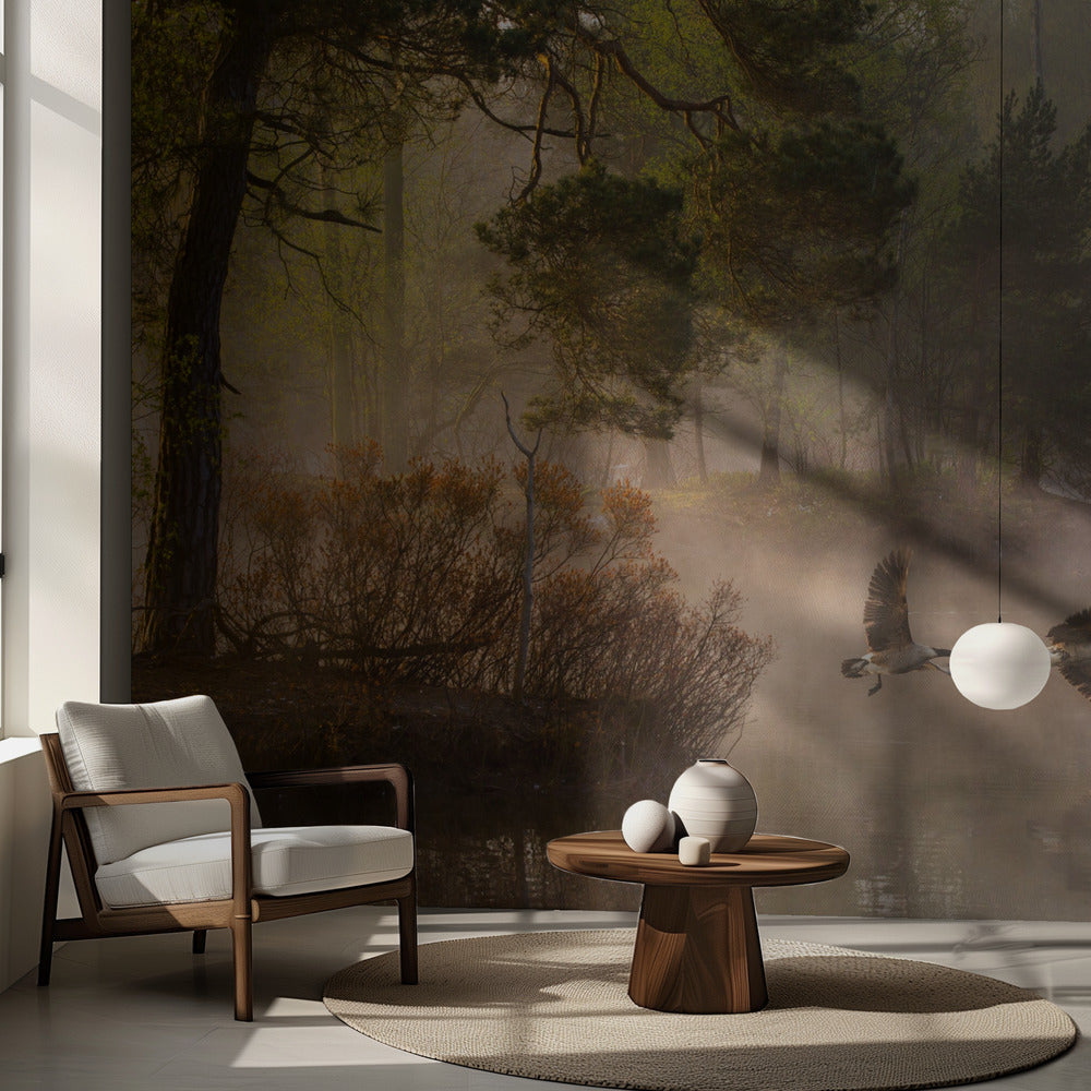 Pelea de gansos Papel Pintado Fotográfico