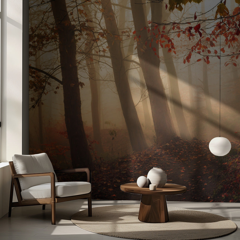 Kohti valoa. Valokuvatapetit