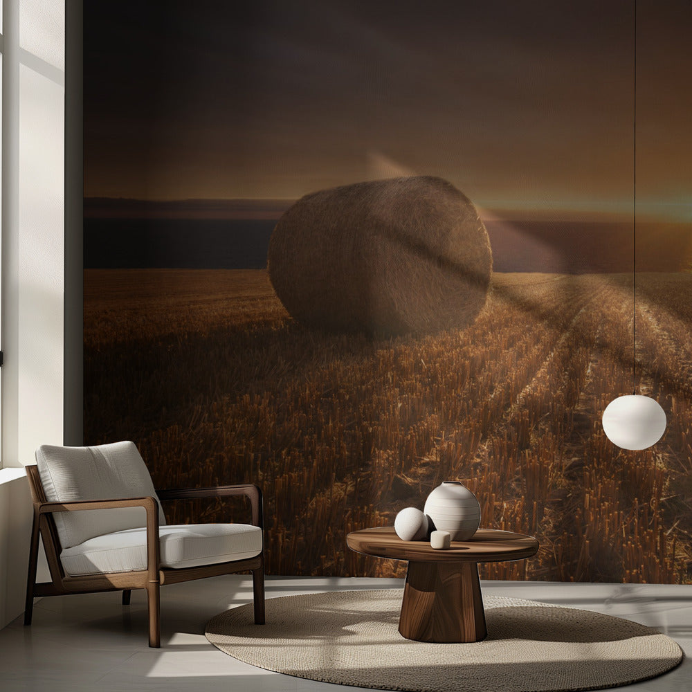 Récolte d'or | Papier Peint Photo