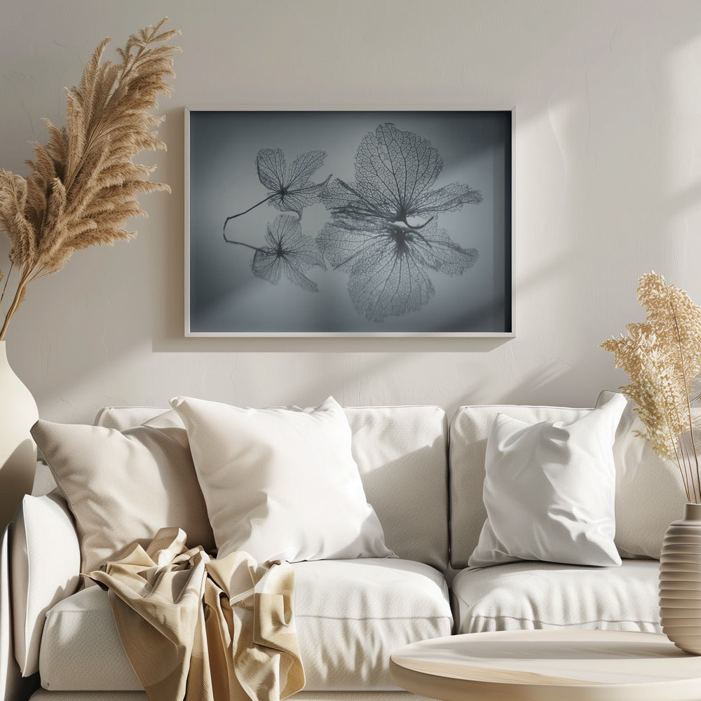 Ephemeral Beauty | Poster