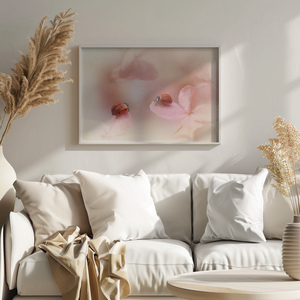 Marienkäfer auf rosa Hortensien. | Poster - Kunstdruck