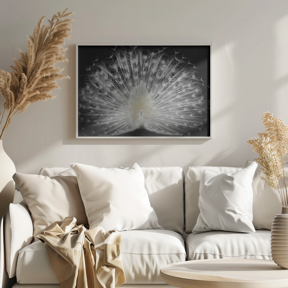 mustavalkoinen, | Julisteet - Taidevedokset