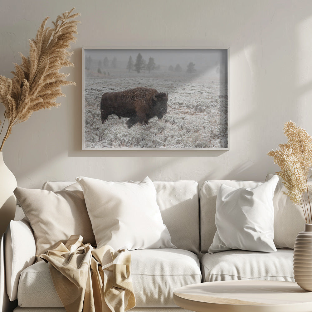 Myöhäinen syksy Yellowstonessa | Julisteet - Taidevedokset