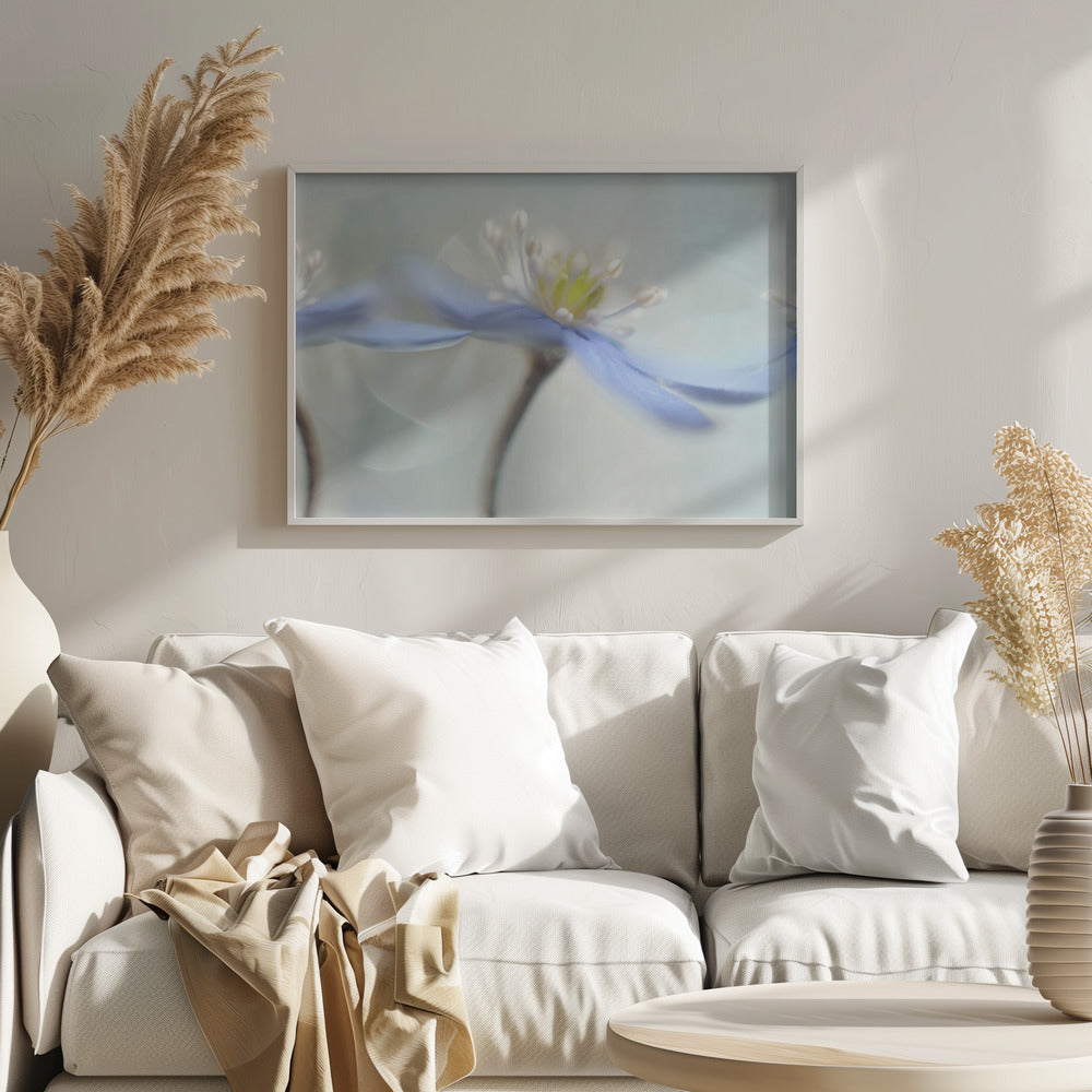 Dancing anemones | Poster