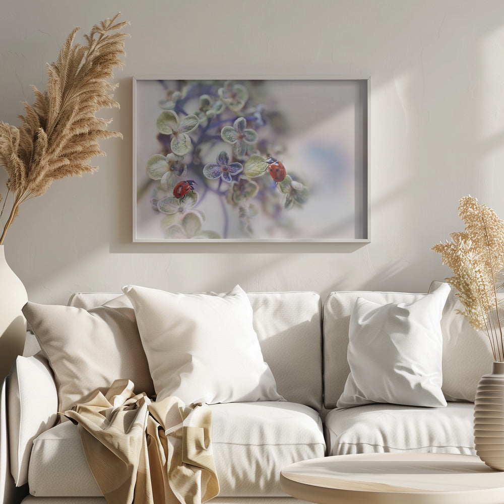 Hauras | Julisteet - Taidevedokset