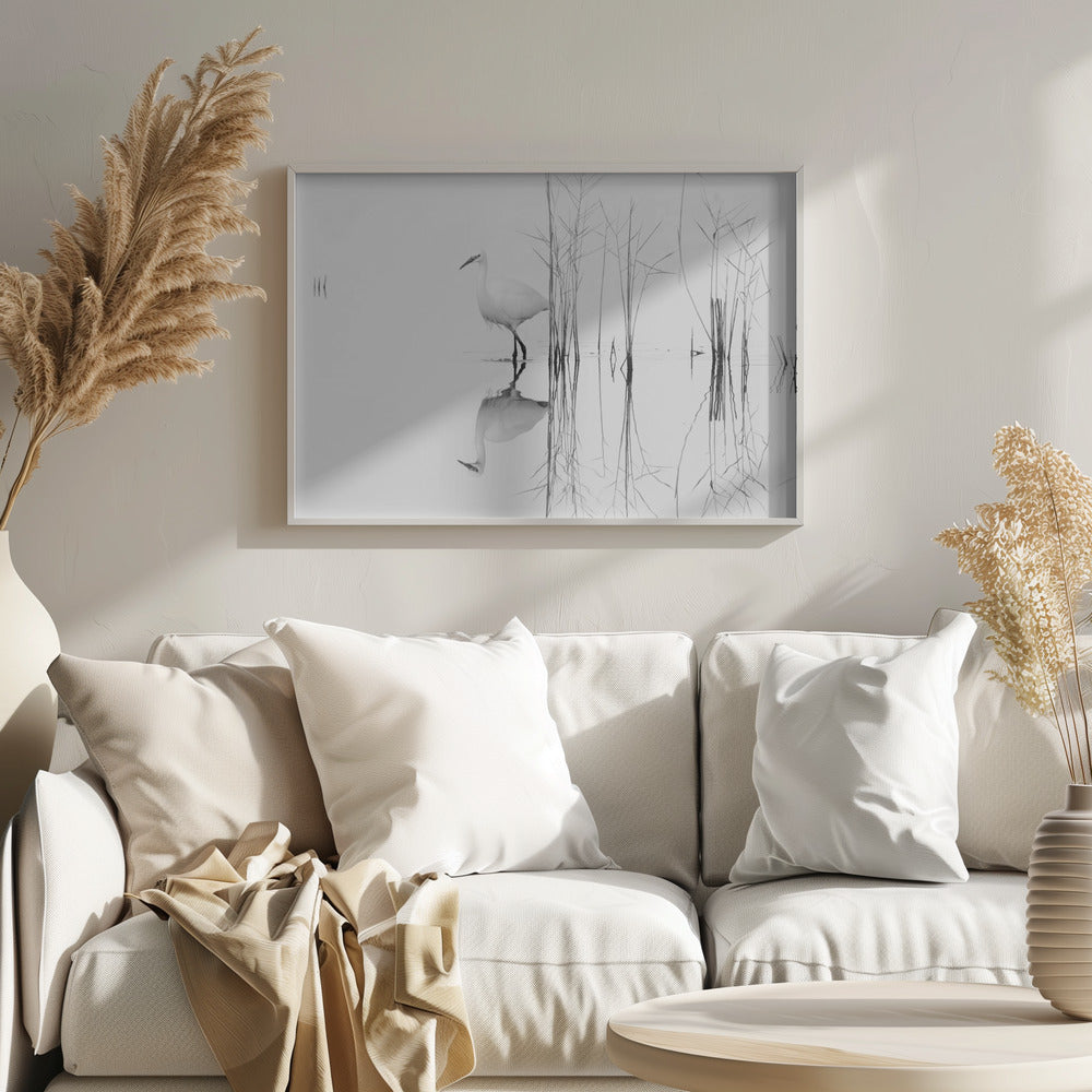 white | Poster