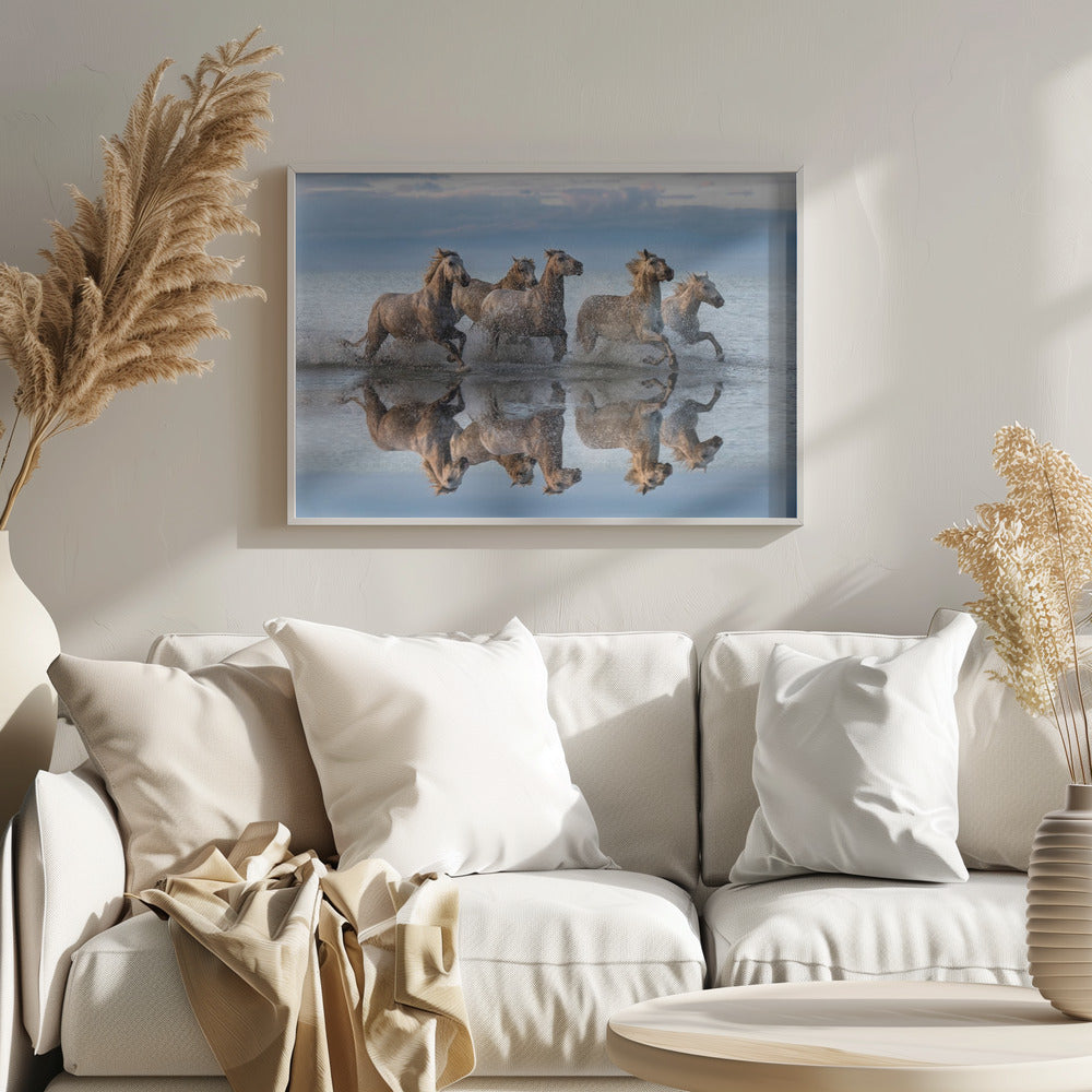 Horses and reflection | Poster