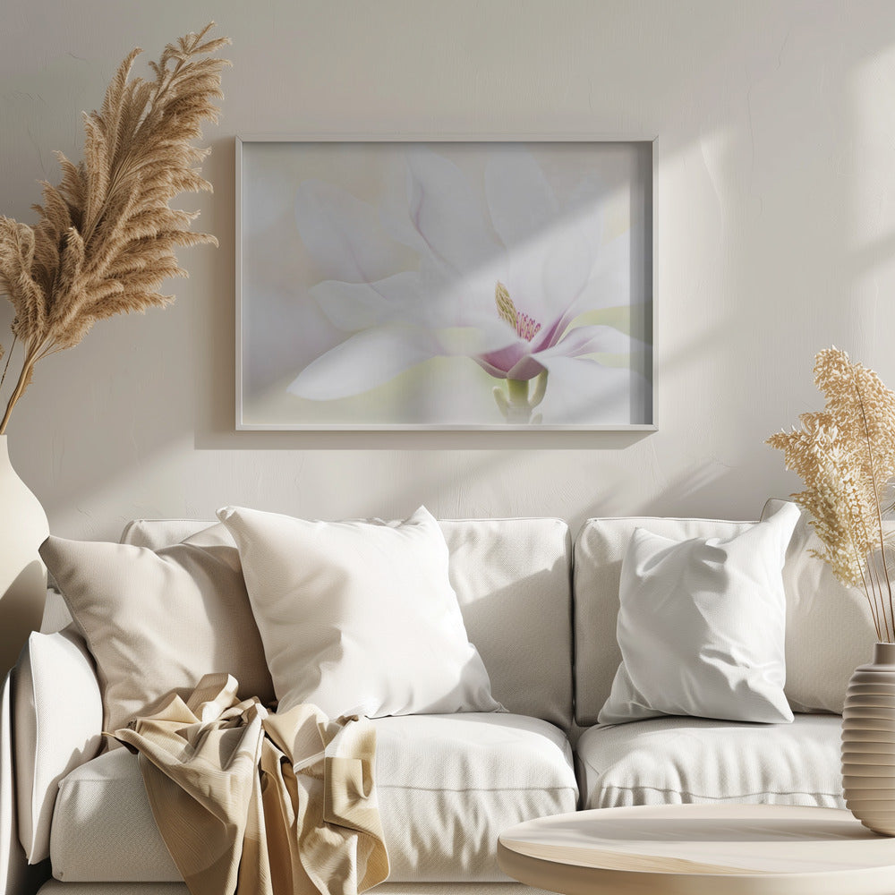 Puhtaus | Julisteet - Taidevedokset