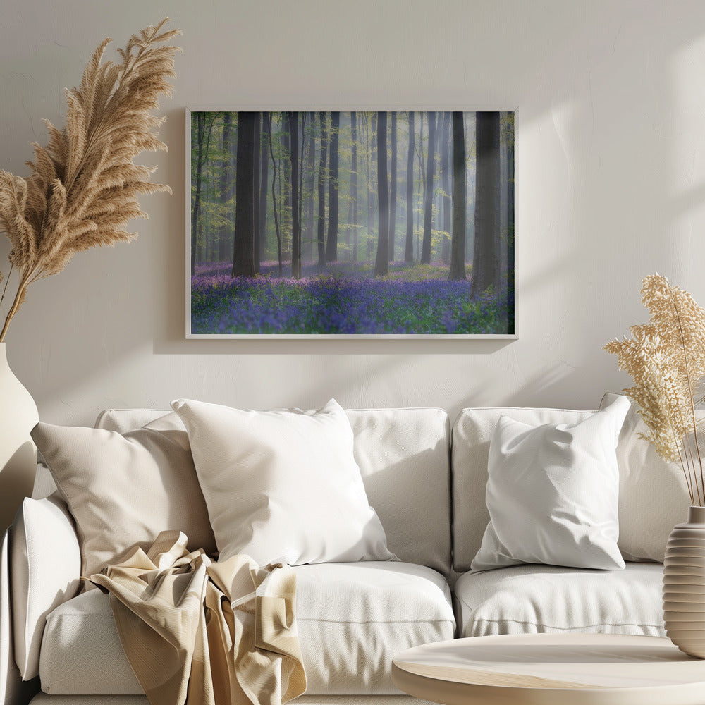 Bluebells | Poster