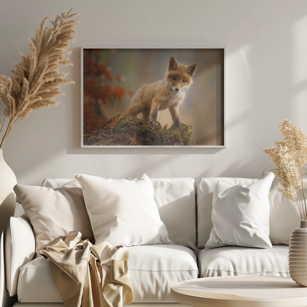 Zorro | Posters  - Impresiones de Arte