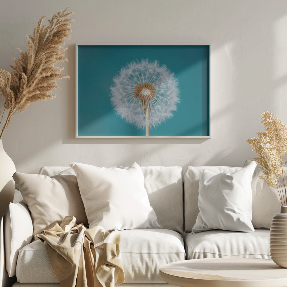 Dandelion | Poster