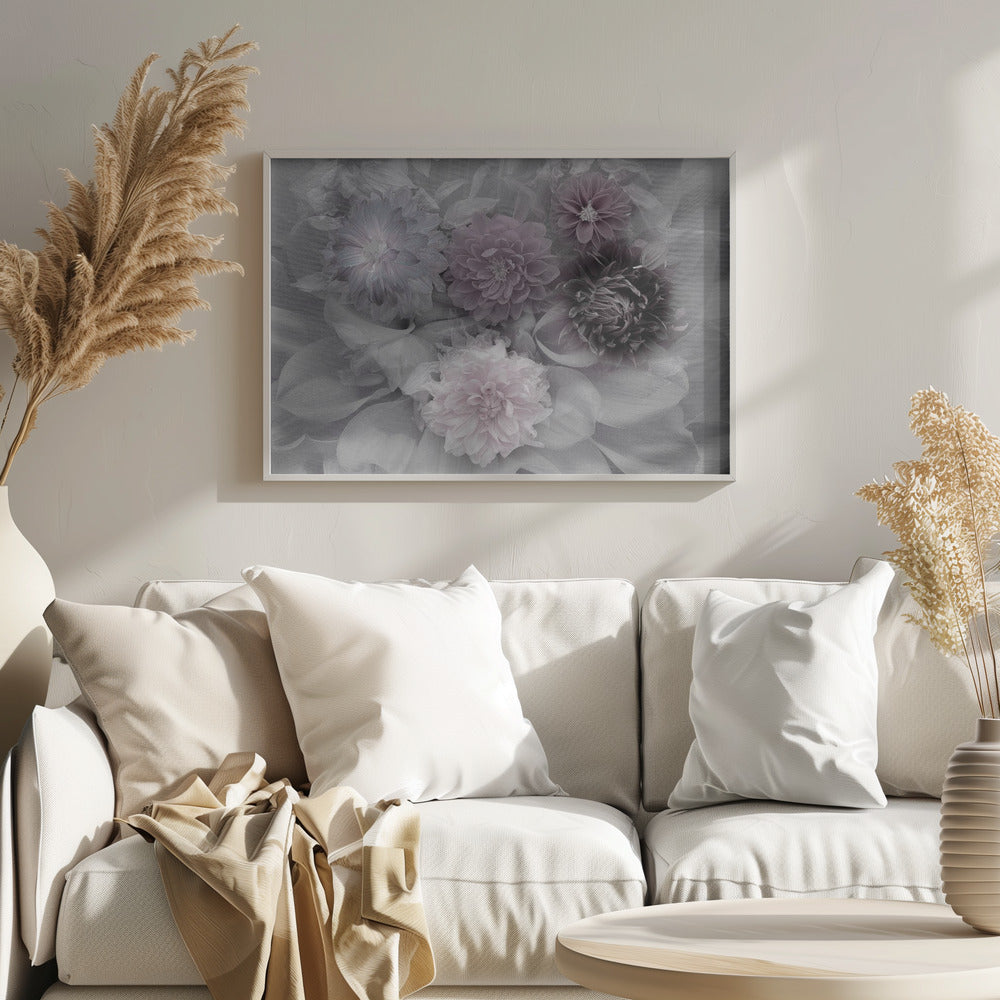 Dahlia dream | Poster