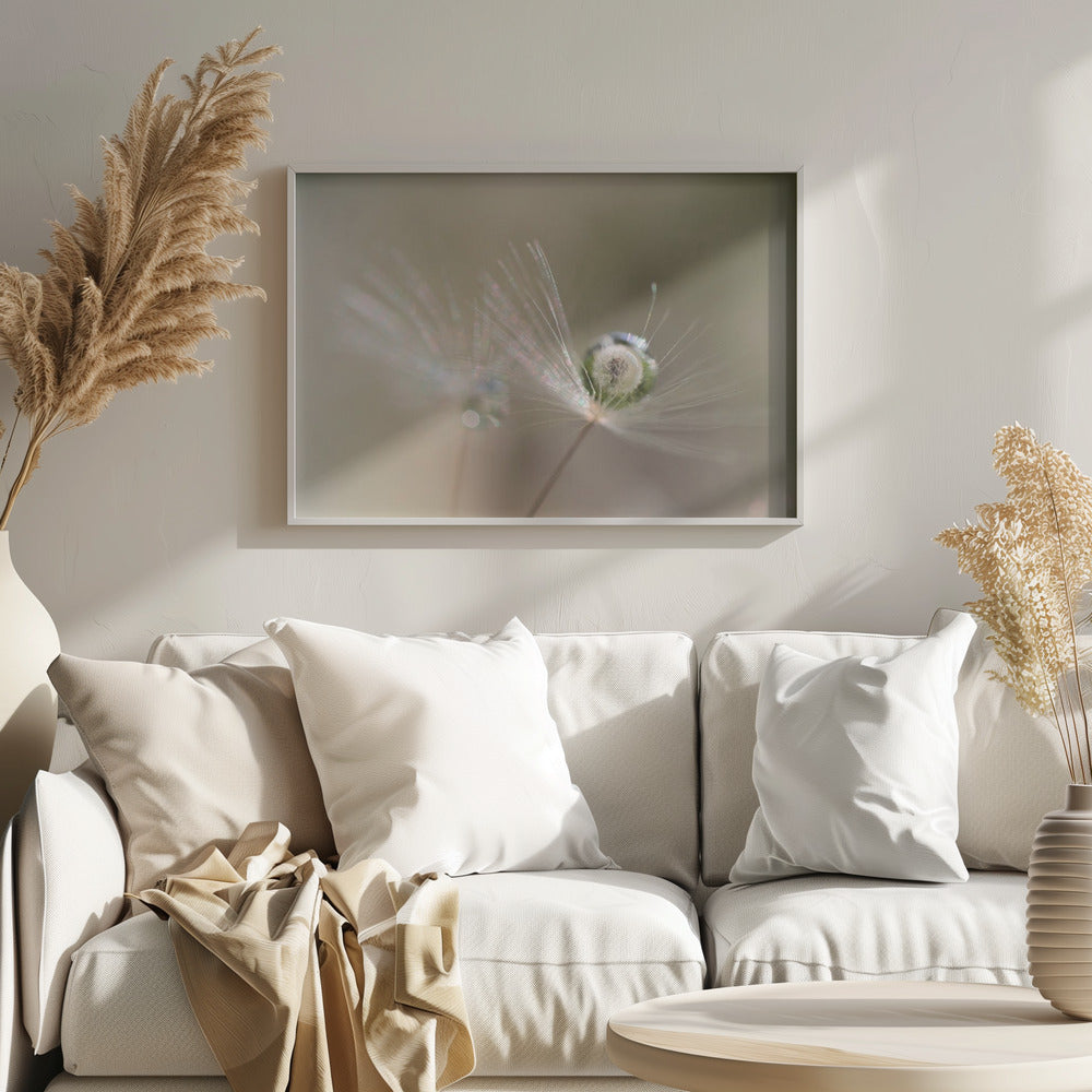 Voikukan tähti | Julisteet - Taidevedokset