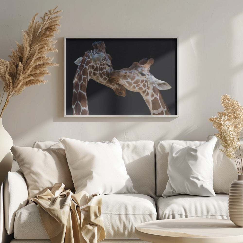 Suudelma | Julisteet - Taidevedokset