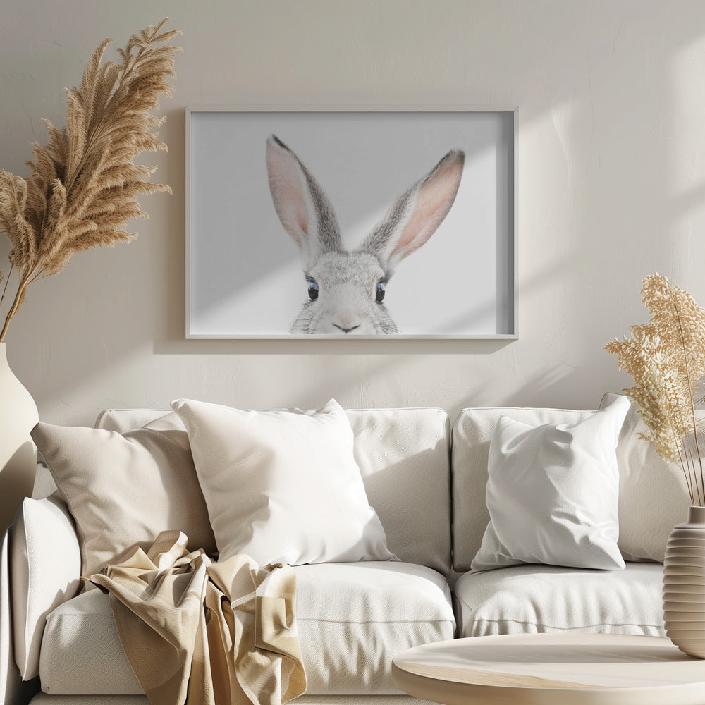 Guckender Hase | Poster - Kunstdruck