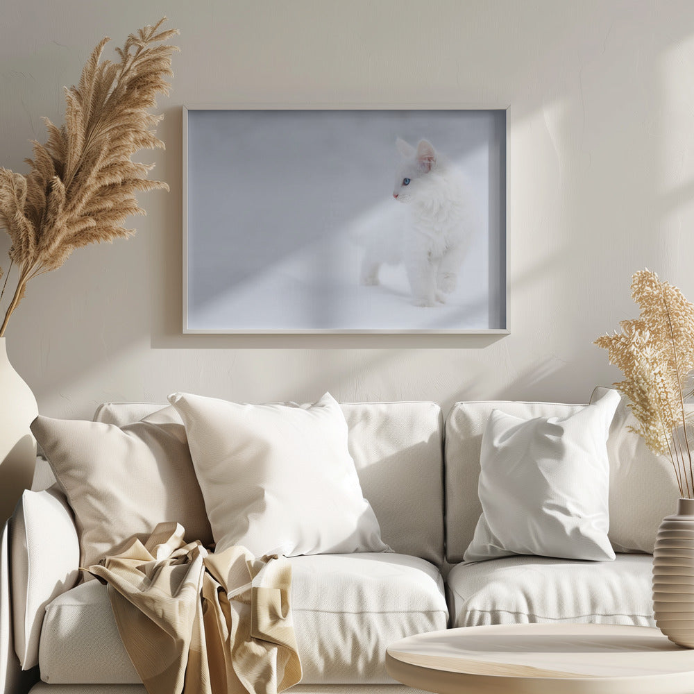 White as Snow | Poster