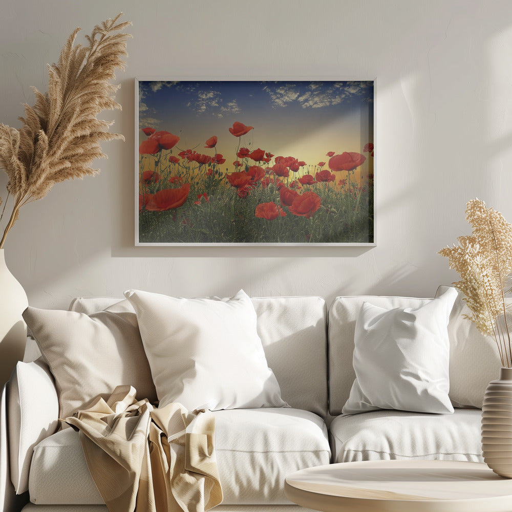 Poppies | Poster