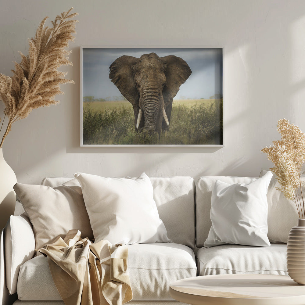 Encounters in Serengeti | Poster