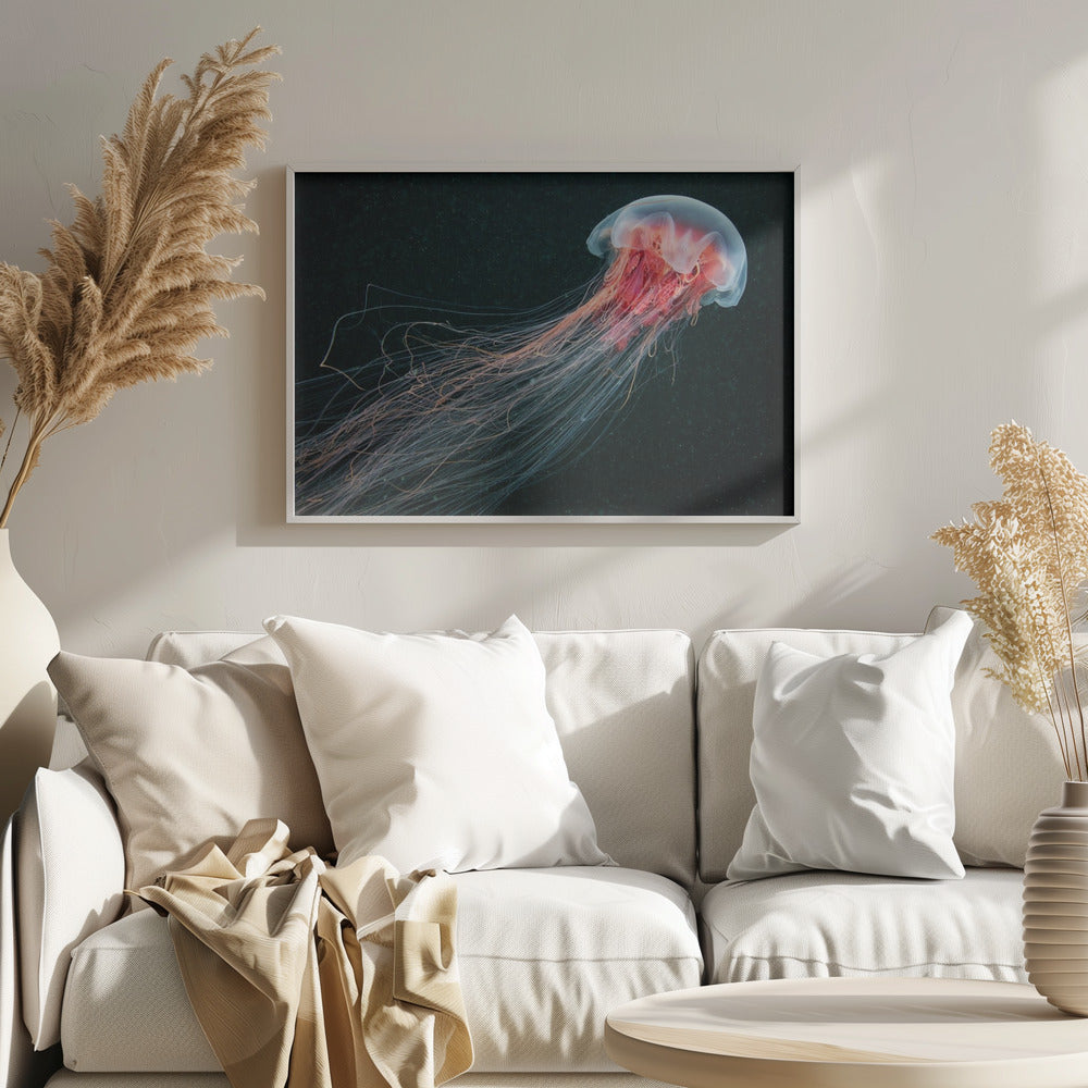 Pitkähäntäinen | Julisteet - Taidevedokset