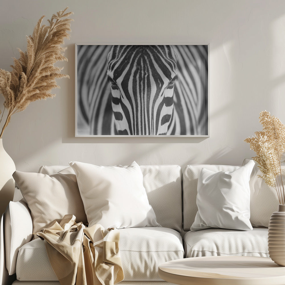 Seepra | Julisteet - Taidevedokset