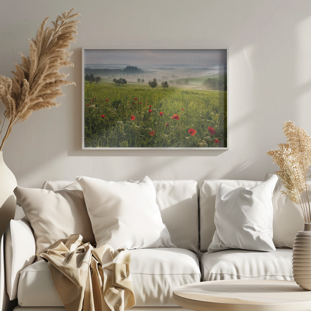 Tuscan spring | Poster