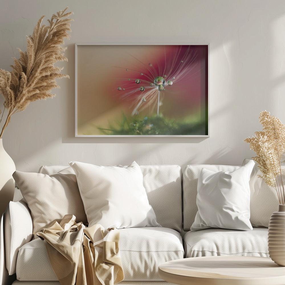 Punainen aamu | Julisteet - Taidevedokset