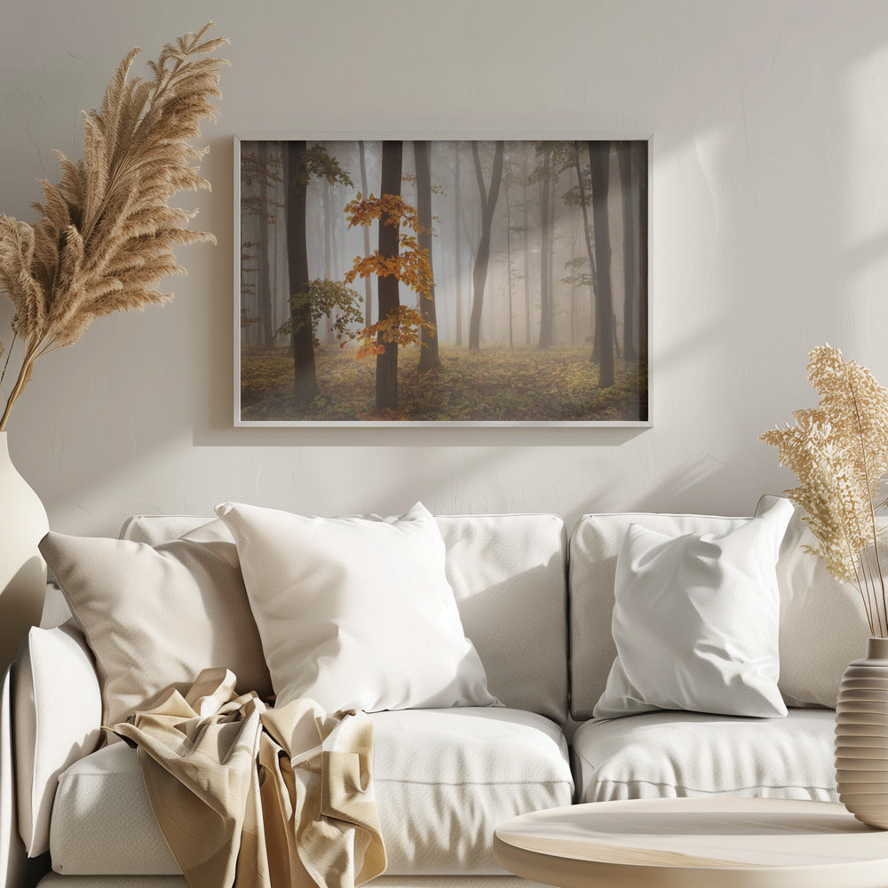 In November Light | Poster