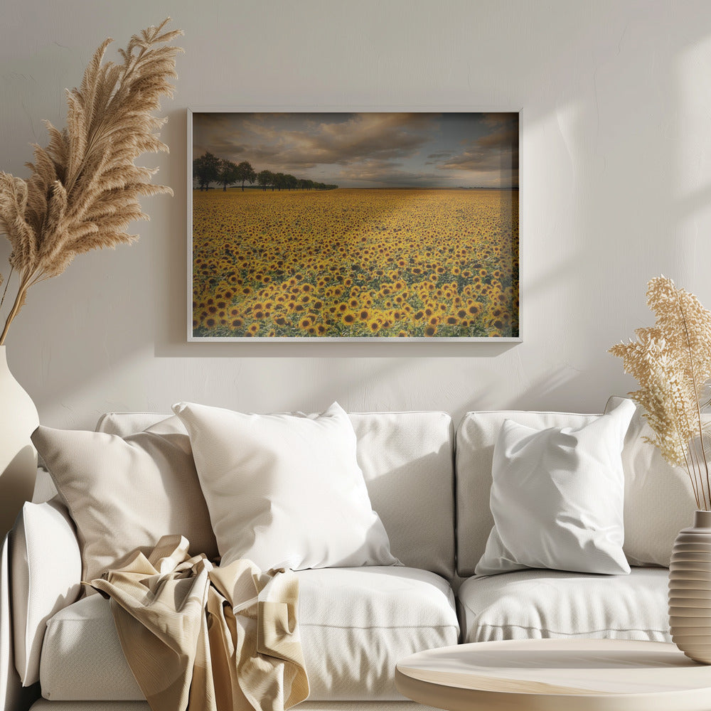 Sunflowers | Poster