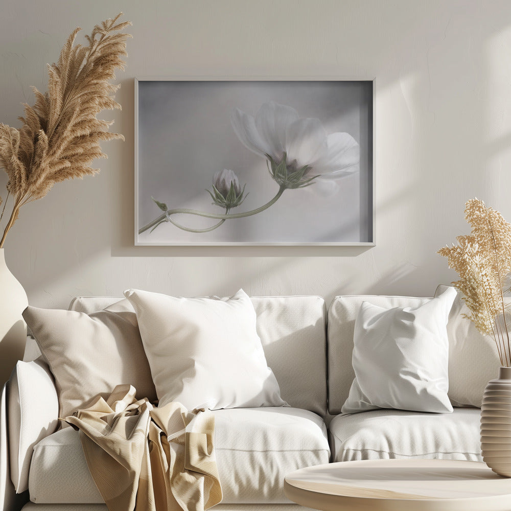 Yksinkertaisesti Kosmos | Julisteet - Taidevedokset