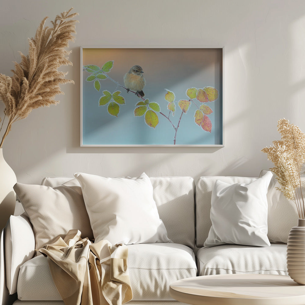 Winter colors | Poster